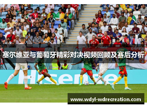 塞尔维亚与葡萄牙精彩对决视频回顾及赛后分析